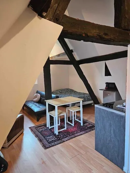 Appartement Le Petit Medieval à Montluçon France